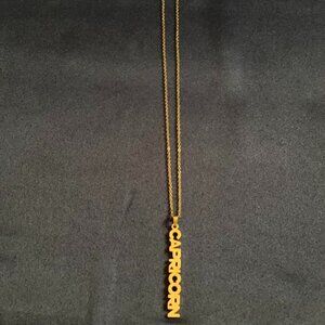 Zodiac necklace, Gold Capricorn